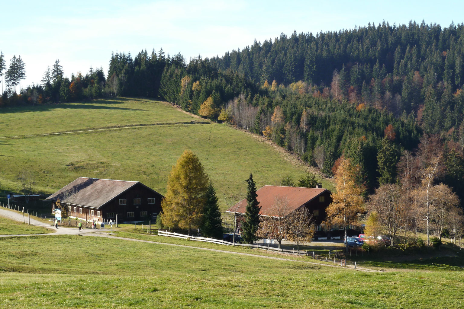 Wenger Egg – TSG Leutkirch 1847 e.V.